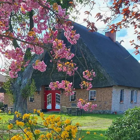 Bauernhaus Dierhagen *